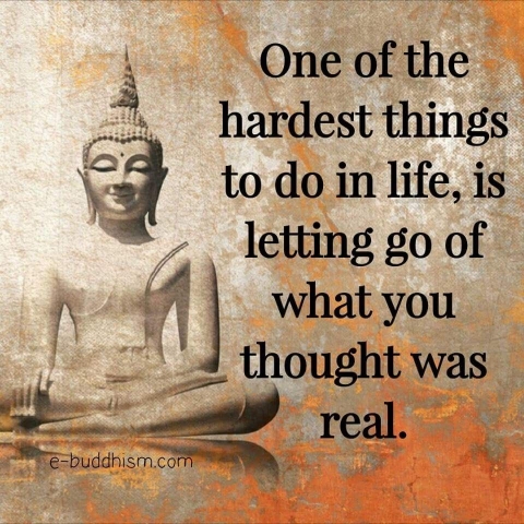 9B0050F1 C6B1 4335 A196 D97898CBC2A6