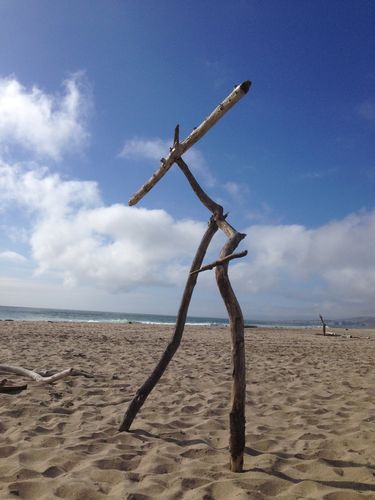 Beach walker beach walker1 2