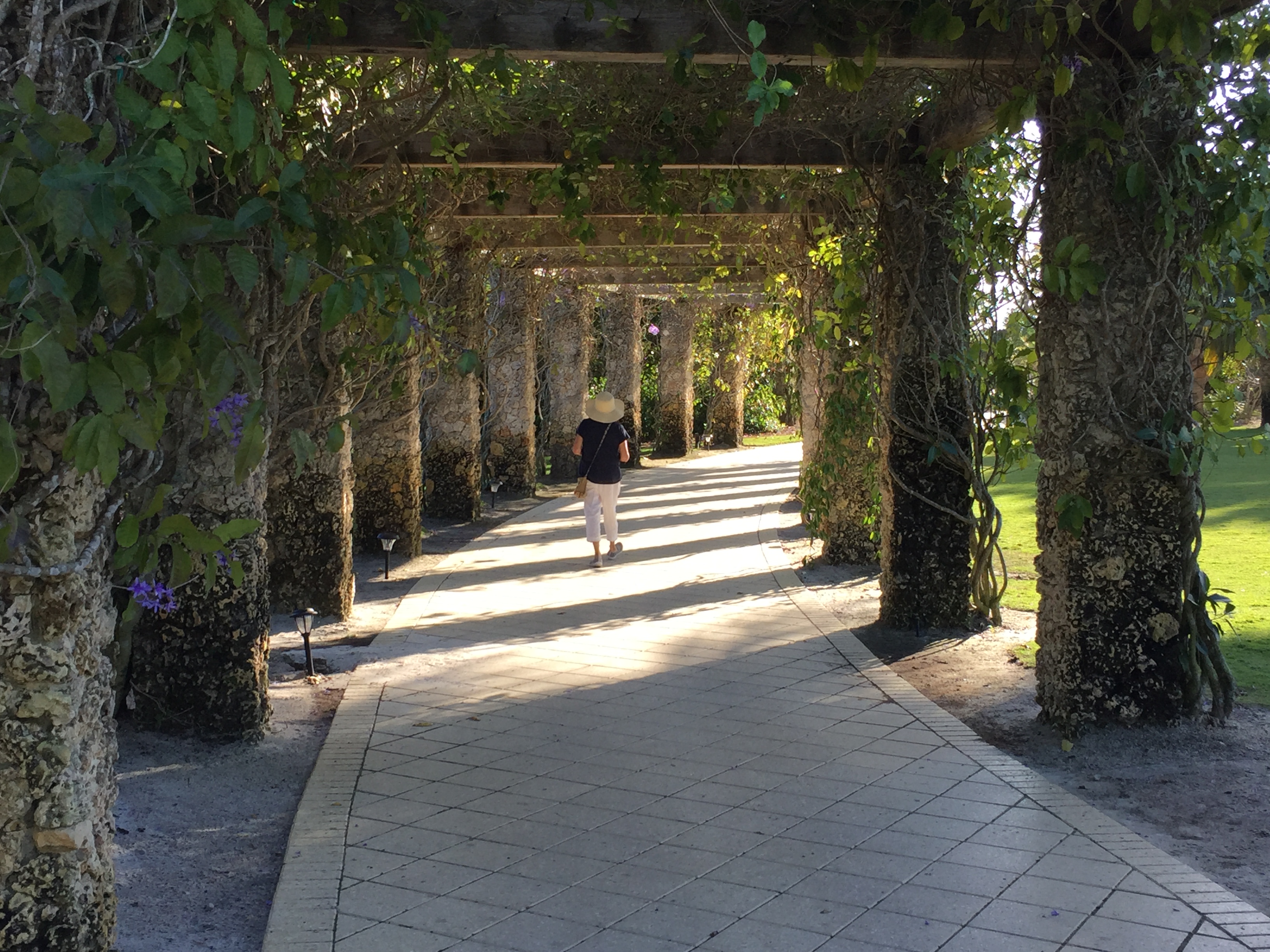 Follow me - Naples Botanical Garden, FL 168B0D56 20E4 4C55 839F 92CCA24B7C55