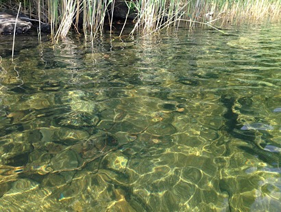 715A041D 7A24 4DAE B5A5 4729981712D7