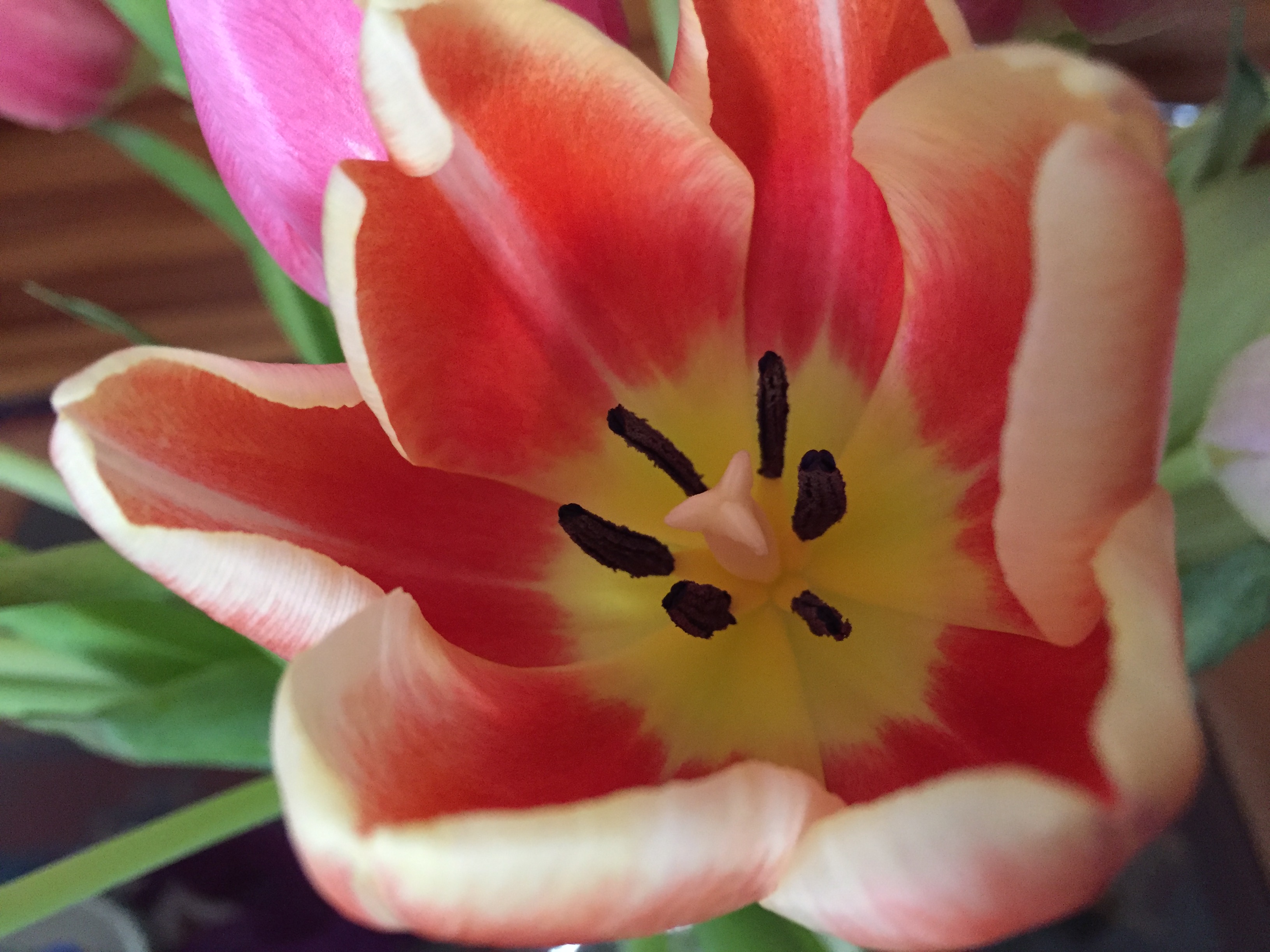 Yellow burst 7F7B473E E9BF 4532 920A B46600AAF024