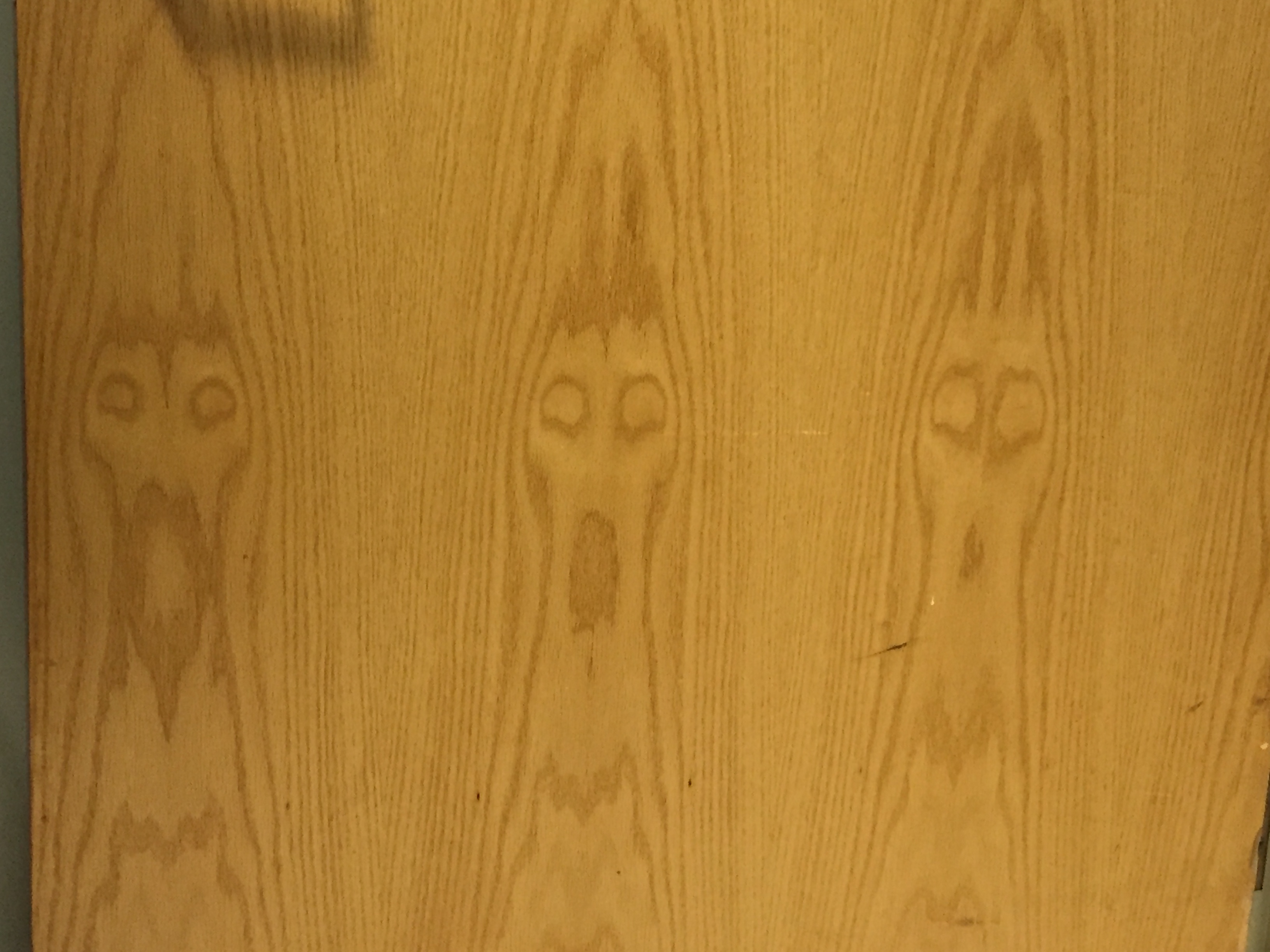 Nature screams - Oak veneer door - West Haven VA, CT Nature screams