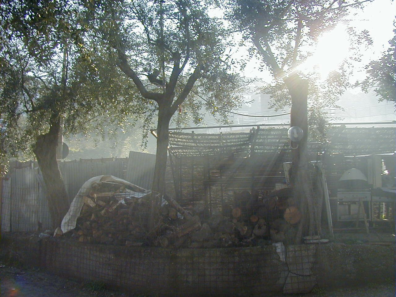 Morning, Monteverde, Costa Rica f128895431